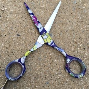 Professional Hair Stylists shear